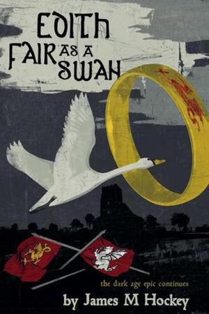 Cover of the book Edith Fair as a Swan by VARUN Vashist