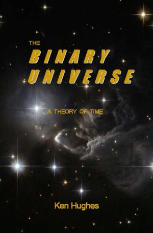 Book cover of The Binary Universe
