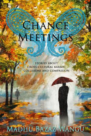 Cover of the book Chance Meetings: Stories About Cross-Cultural Karmic Collisions and Compassion by Tag Cavello