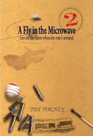 Cover of the book A Fly in the Microwave... by Polly Ann Lewis