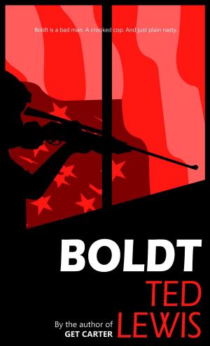 Cover of the book Boldt by André Bruneau