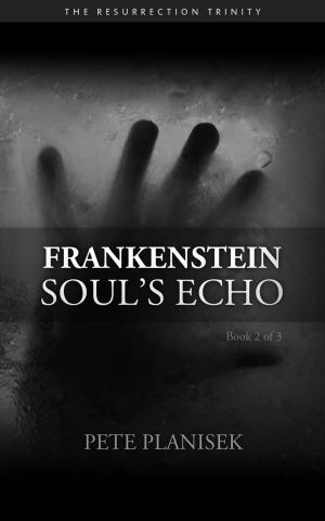 Cover of the book Frankenstein Soul's Echo by Mary Lynn Bracht