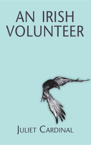 Cover of the book An Irish Volunteer by Gabriel Woods