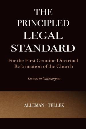 bigCover of the book The Principled Legal Standard by 