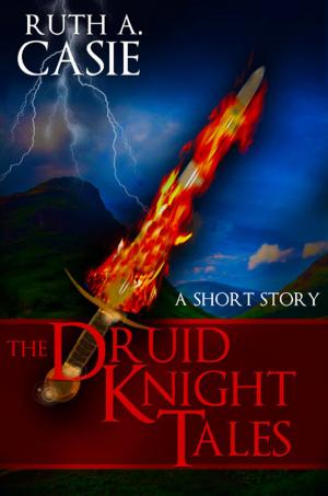 Book cover of The Druid Knight Tales