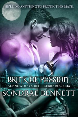 Cover of the book Brink of Passion by Rachel J.Queen