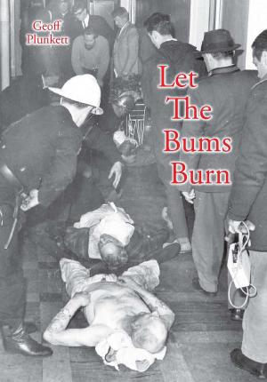 bigCover of the book Let the Bums Burn by 