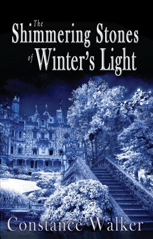 bigCover of the book The Shimmering Stones of Winter's Light by 