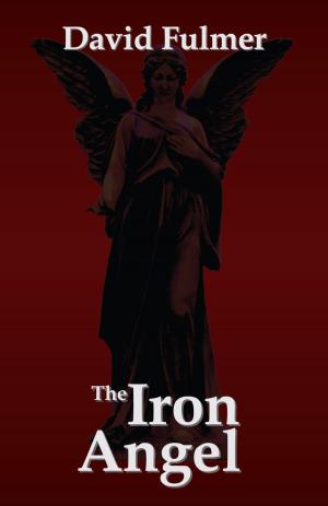 Cover of the book The Iron Angel by Susan Steggall