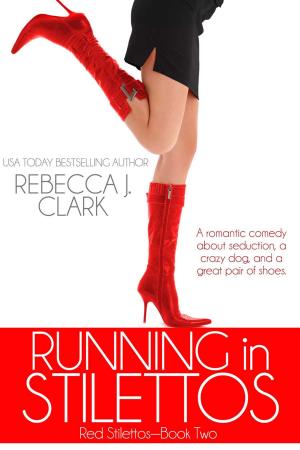 Book cover of Running in Stilettos