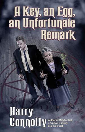 Cover of the book A Key, an Egg, an Unfortunate Remark by B. Heather Mantler