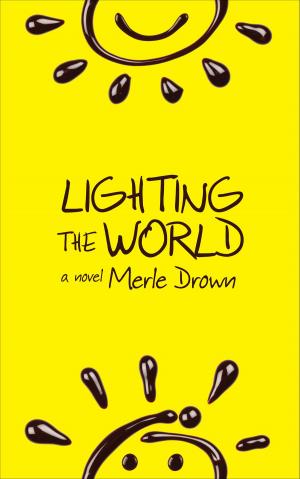 Cover of the book Lighting the World by Clair Brett