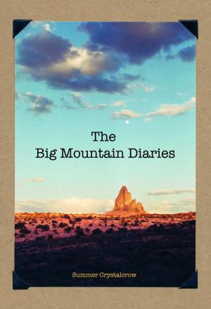 bigCover of the book The Big Mountain Diaries by 