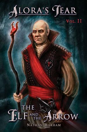 Cover of the book The Elf and the Arrow by Derek Ebersviller