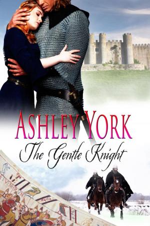 Cover of the book The Gentle Knight by Rosemary Hawley Jarman