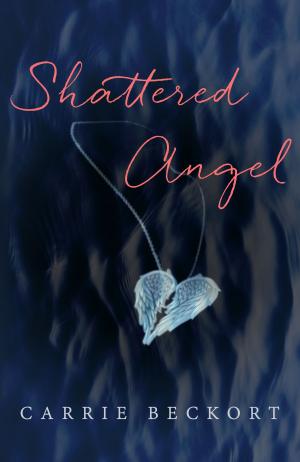 Cover of the book Shattered Angel by P.M. Terrell
