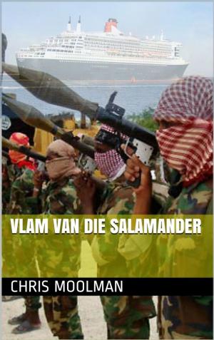 Cover of the book Vlam van die Salamander by Steffen Maus, Markus Bassler