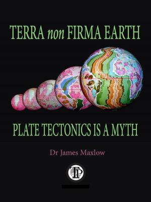Cover of the book Terra non Firma Earth by Matteo Chinellato