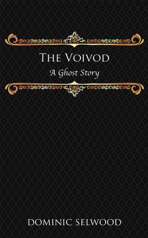 Cover of the book The Voivod by J.R. McLemore