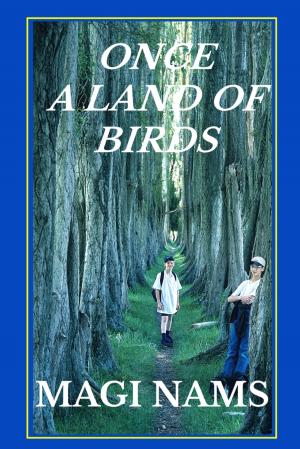 Cover of the book Once a Land of Birds by Steven Zussino