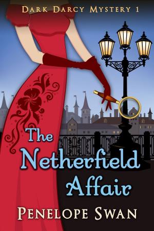 bigCover of the book The Netherfield Affair: A Pride and Prejudice Variation by 