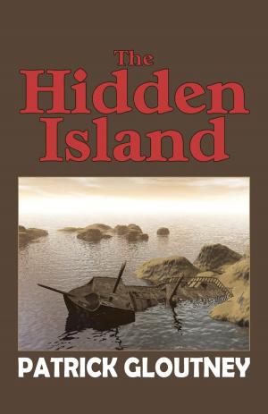 Cover of the book The Hidden Island by K C Graham