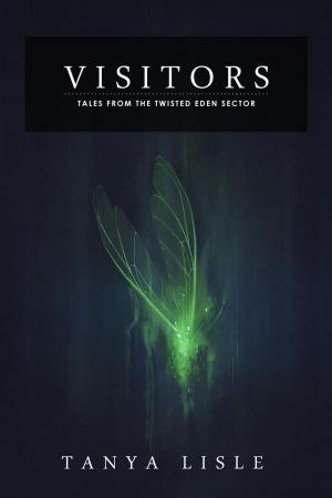 Cover of the book Visitors by Darby K. Michaels