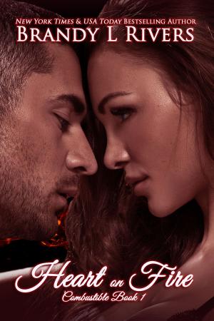 Cover of the book Heart on Fire by Brandy L Rivers