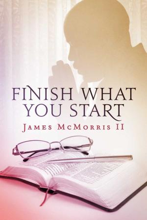 Cover of the book Finish What You Start by Jamie Wolf