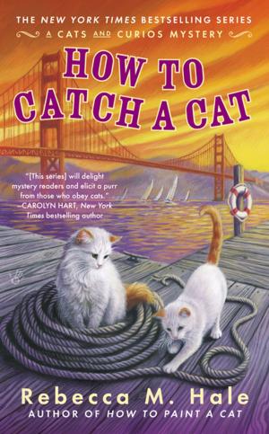 Cover of the book How to Catch a Cat by David J. Tenenbaum, Terry Devitt