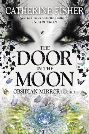 Cover of the book The Door in the Moon by Franklin W. Dixon