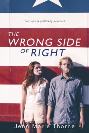 Cover of the book The Wrong Side of Right by Karen Romano Young