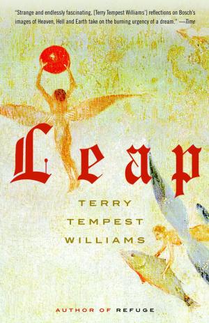 Cover of the book Leap by Sallie Tisdale