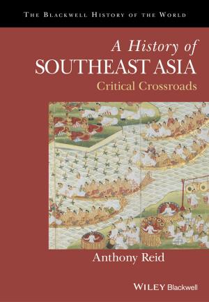 bigCover of the book A History of Southeast Asia by 
