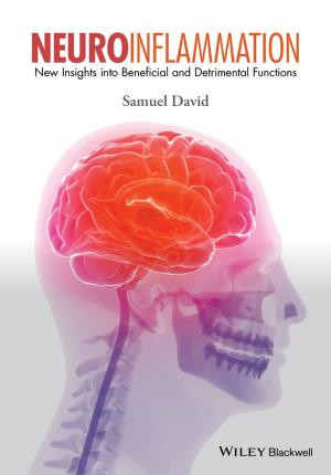 Cover of the book Neuroinflammation by Wolfgang Schmidt, Shichang Wang