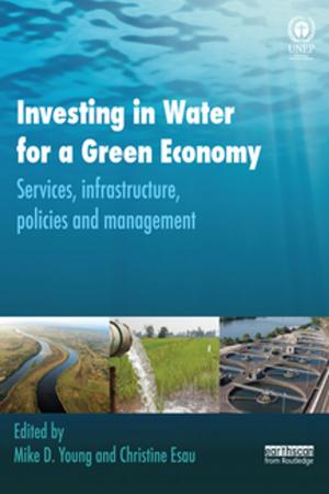 Cover of the book Investing in Water for a Green Economy by Jani Vuolteenaho