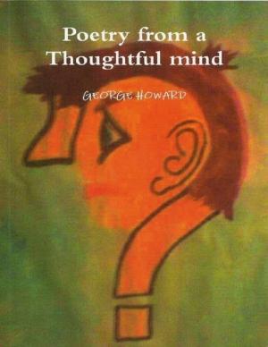 Cover of the book Poetry from a Thoughtful Mind by Kris A. Schaefer