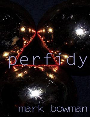 Cover of the book Perfidy by Juraj Vondena