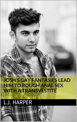 Cover of the book Josh’s Gay Fantasies Lead Him to Rough Anal Sex with a Transvestite by Aaron Sans