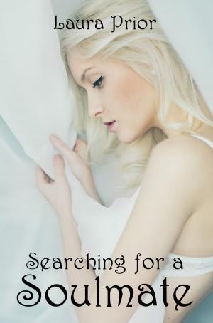 Book cover of Searching for a Soulmate