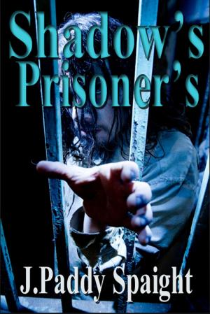 Cover of the book Shadow's Prisoners by Nicholas Stillman