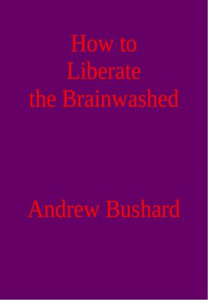 Cover of the book How to Liberate the Brainwashed by Jim Randel