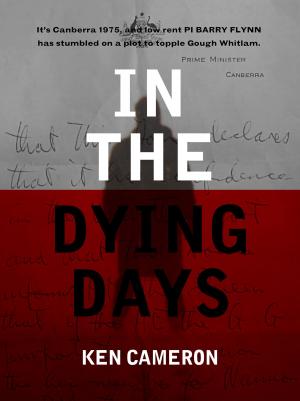 Book cover of In The Dying Days