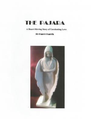 Book cover of The Pajara