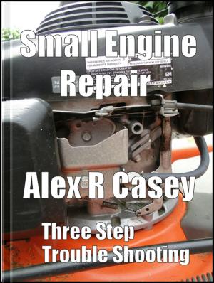 Book cover of Small Engine Trouble Shooting