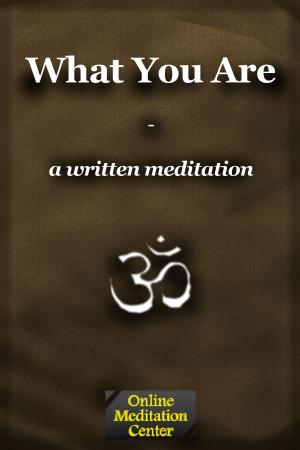Cover of the book What You Are: A Written Meditation by Mimmo Gasbarri