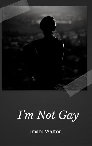 Cover of the book I'm Not Gay by Jarrod D. King