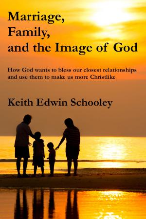 Book cover of Marriage, Family and the Image of God