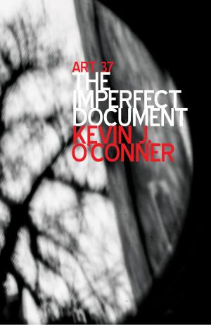 Cover of the book The Imperfect Document by Igor Khomenko