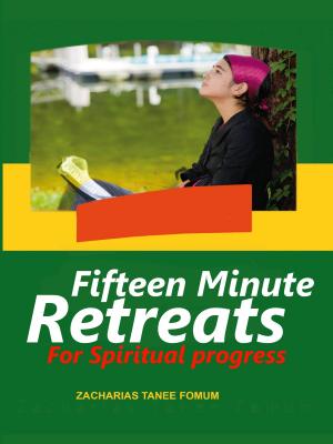 Cover of the book Fifteen Minute Retreats for Spiritual Progress by Chip Brogden